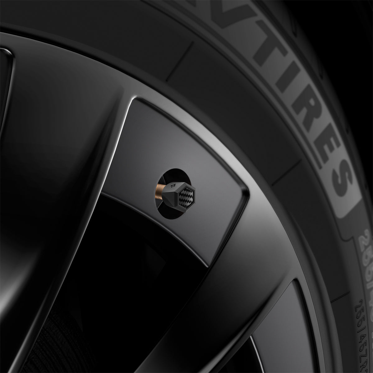 ACP09331 - Tesla Series Valve Stem Cover VS100 zoomed in to the product
