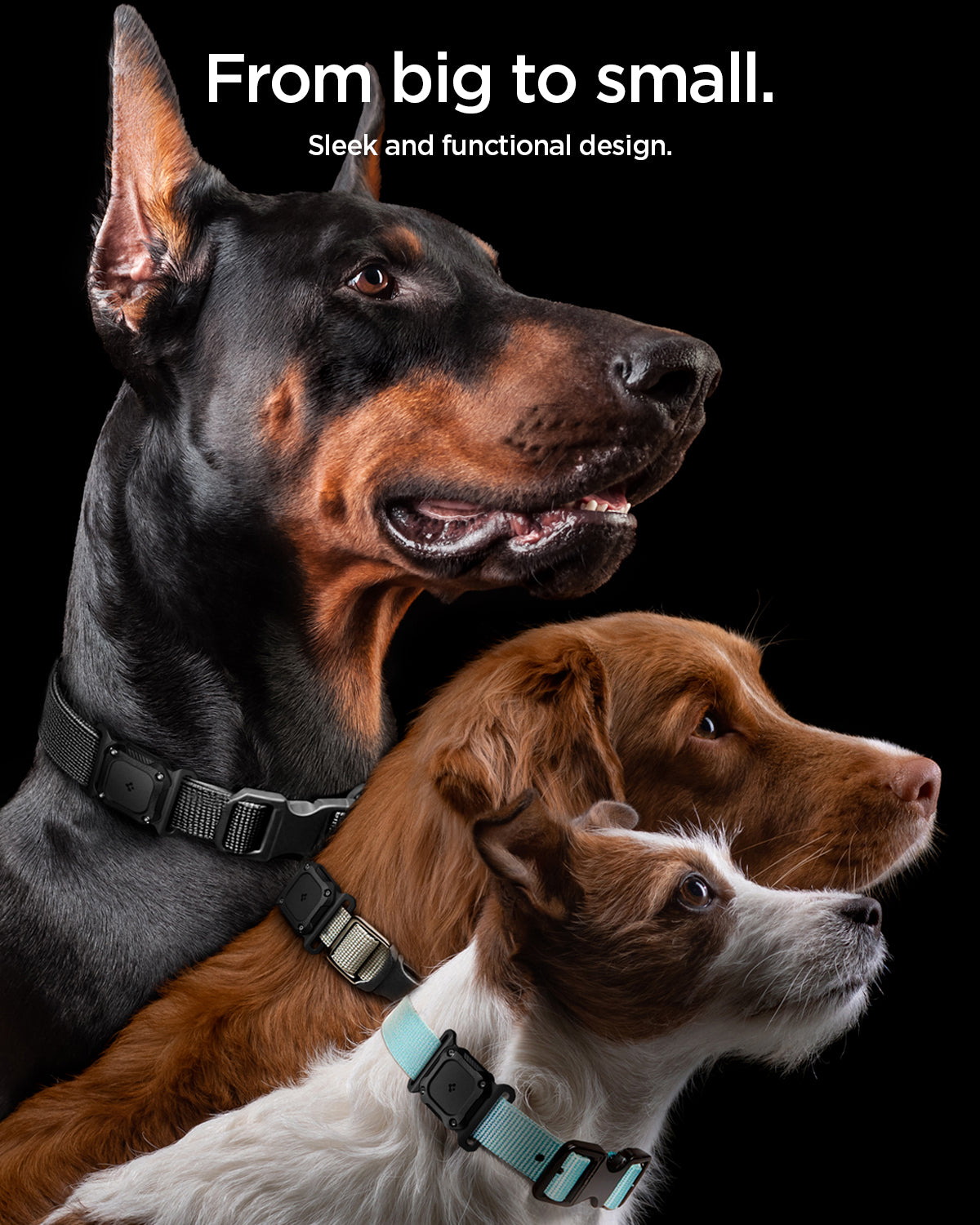 ACS09780 - Apple AirTag Tough Armor IP Pet Collar in Black showing the sleek and functional design. From big to small