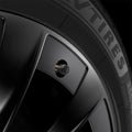 ACP09331 - Tesla Series Valve Stem Cover VS100 zoomed in to the product