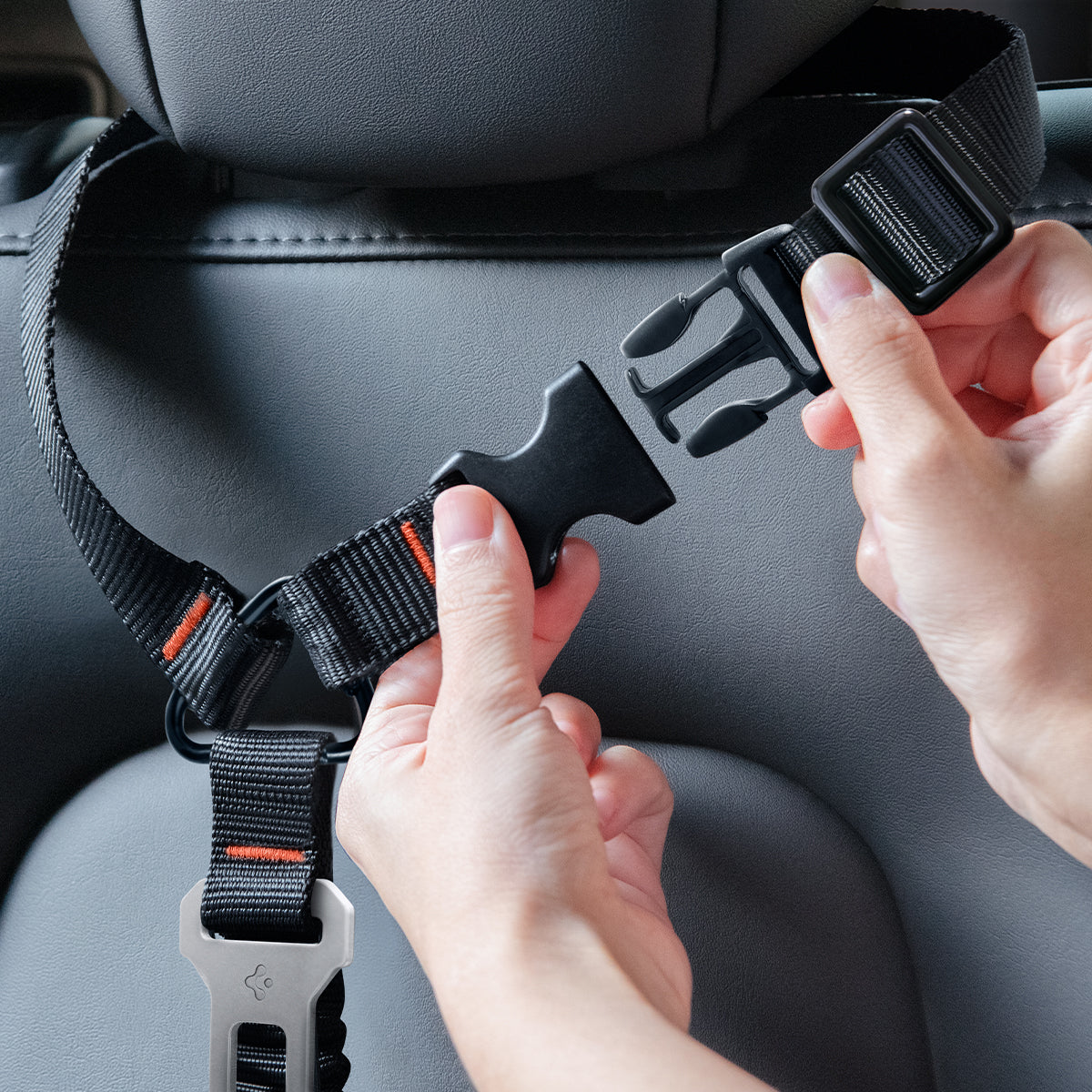 ACP08926 - Pet Car Seatbelt PS100 in Black showing a person holding the  strap attaching it