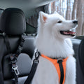 ACP08926 - Pet Car Seatbelt PS100 in Black showing a dog strap in a pet car seatbelt attached to pet's harness