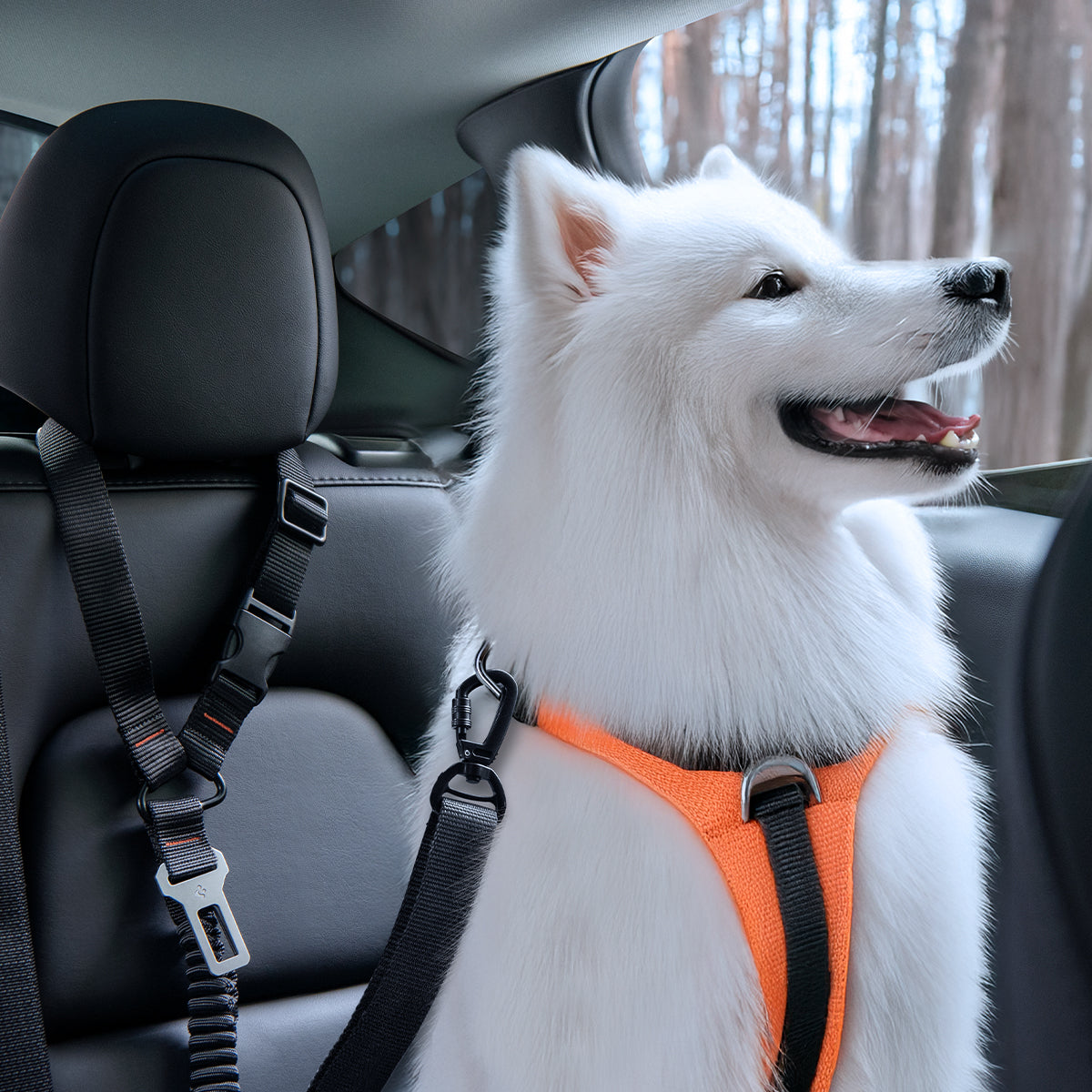 ACP08926 - Pet Car Seatbelt PS100 in Black showing a dog strap in a pet car seatbelt attached to pet's harness