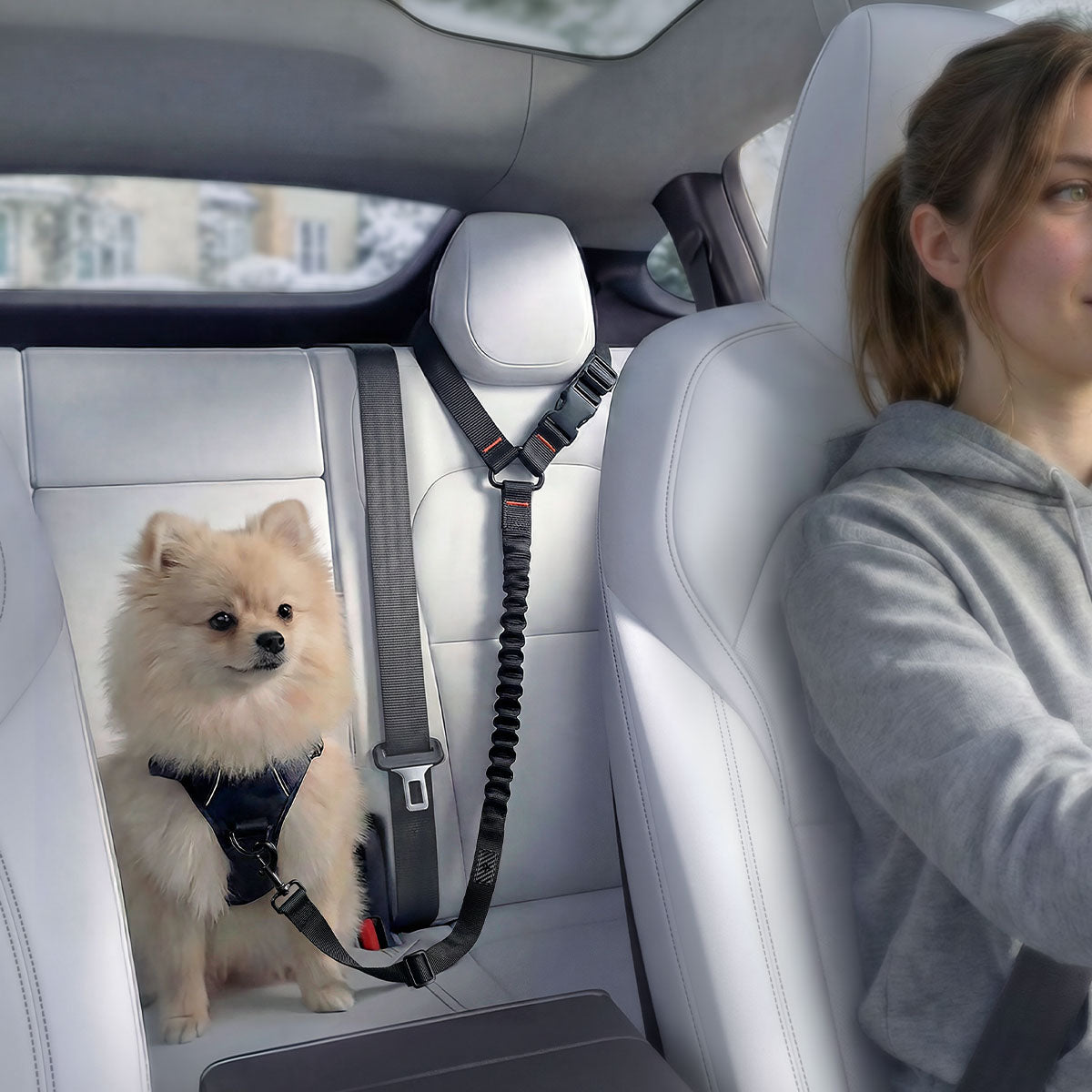 ACP08926 - Pet Car Seatbelt Tether | PS100 in Black showing seatbelt with a dog