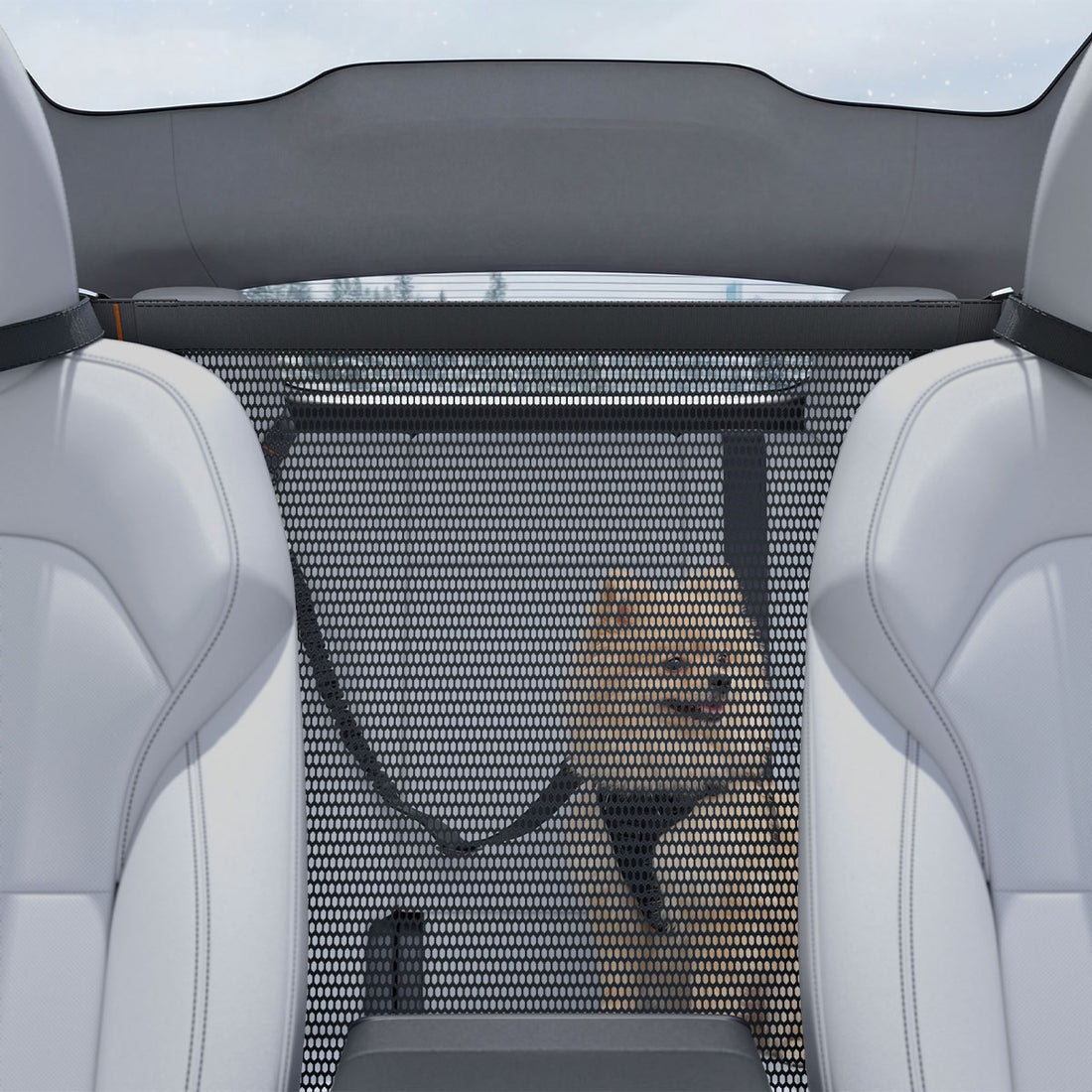 ACP11156 - Pet Car Backseat Barrier | PS200 in Black showing a dog with a backseat barrier