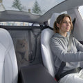 ACP11156 - Pet Car Backseat Barrier | PS200 in Black showing a dog with a backseat barrier