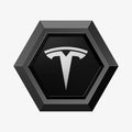 ACP11370 - Universal Tire Valve Stem Cap | VS100TS/R in silver showing a top view of the hexagonal cap with a glossy black center and Tesla logo.