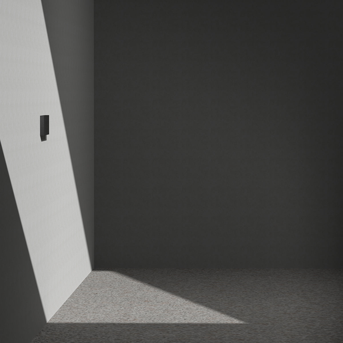 ACP10400 - Garage Wall Protector | WP100 showing the installed wall protector