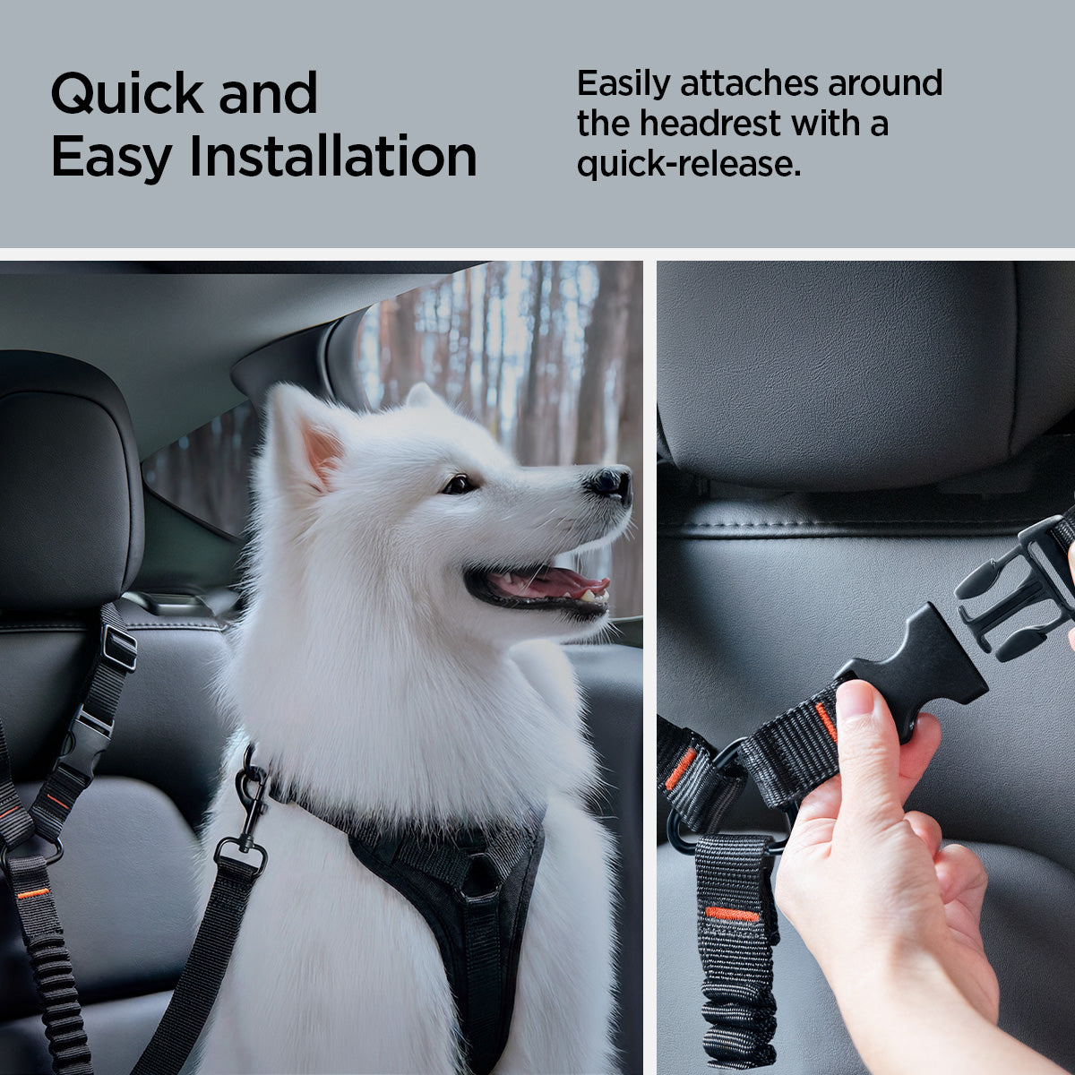 ACP08926 - Pet Car Seatbelt Tether | PS100 in Black showing quick and easy installation