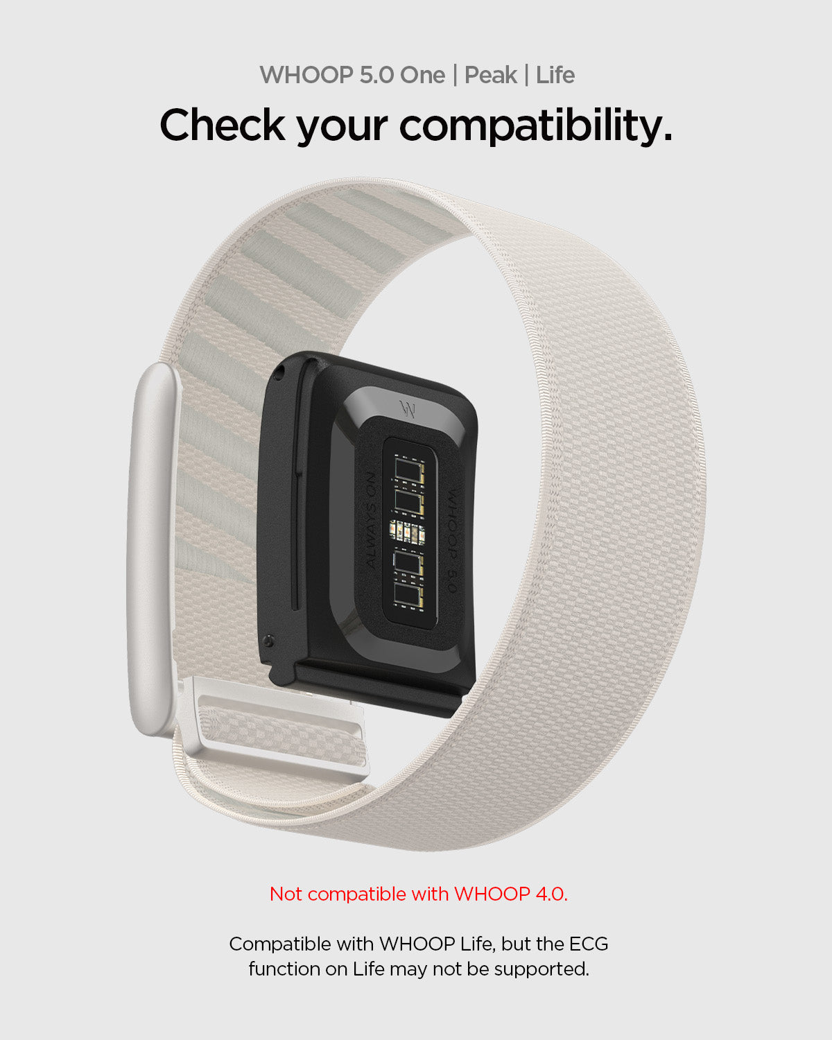 AMP10188 - WHOOP 5.0 compatible woven band shown with device module installed highlighting compatibility notice for WHOOP 5.0 One Peak and Life models and indicating not compatible with WHOOP 4.0 while noting limited ECG support on WHOOP Life