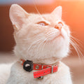 AHP09659 - AirTag Series Tag Armor 2 showing cat with air tag